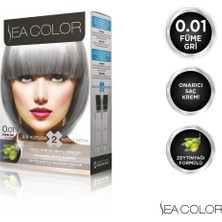 Sea Color Set Saç Boyası 0.01 Füme Gri