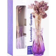 Frannita Lavender Garden Çiçekli Cam Vazolu Refilli Dekoratif Oda Kokusu 100ML