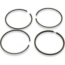 Antor 4LD820 Segman Takımı +1,00MM 103MM