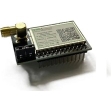 EGN Elektronik STR09RSH8 868MHZ/+20DBM Rf Mcu+Lora Transceiver Modülü (STM32WLE5X, Saw, Tcxo, Sma Rf Konnektör)