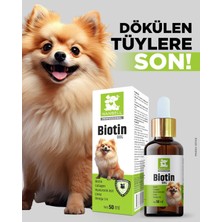 Nanbell Biotin Dog Köpek