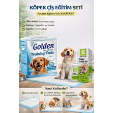 Golden Köpek Eğitim Pedi ve Köpek Çiş Eğitim Spreyi 100 ml