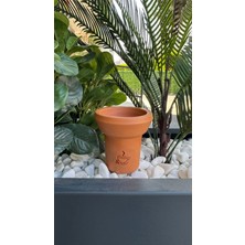 Nfx Türkish Toprak 6 Delikli Lüle / Capuccino Logolu