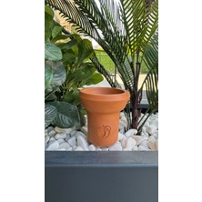 Nfx Türkish Toprak 6 Delikli Lüle /şeftali Logolu