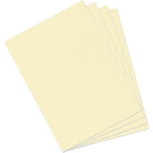 Canson Dokulu Fon Kartonu Mi-Teintes Sh Canmt 50X65Cm 160 Gram Pastel Yelllow 407 31032S104 (10 Lu Paket)