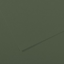  canson sh canmt 50x65cm 160 gram pastel dokulu fon kartonu grn 448 31033s121 (10 lu paket)