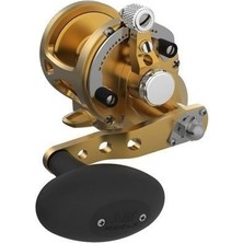 Avet Sx 5.3 Mc G2 With Glide Plate Sağ Kol Jigging Çıkrık Makine Gold
