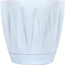 Serinova Papatya Tabaklı Saksı 1,5 Lt