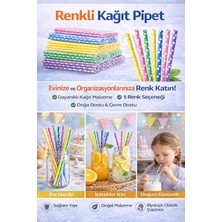 Bm House Bmhouse 5X10 Renkli Kağıt Pipet 5’li Set Parti Pipeti Doğum Günü Içecek Pipeti Çevre Dostu