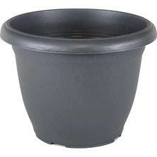 Serinova Villa Saksı Tabaksız 0.6 Lt No 1