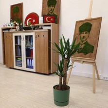 Poliwork Yuvarlak Tabaklı Büyük Boy Saksı 9 Lt 250x235 mm - Bahçe Saksısı