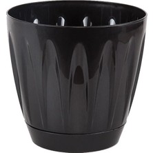 Serinova Papatya Tabaklı Saksı 12 Lt