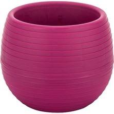 Serinova Elvan Kaktüs Saksısı 0.55 Lt – Renkli Modern Mini Kaktüs Saksısı