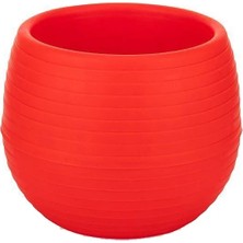 Serinova Elvan Kaktüs Saksısı 0.13 Lt