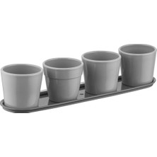 Poliwork Kaktüs Saksı 4'lü Set Mint 0,12 Lt – 4'lü Set Mint Yeşili Mini Kaktüs ve Fide Saksısı