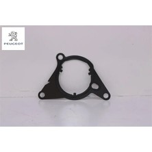Fren Vakum Pompa Contasi EB2ADTS Peugeot 9801728380