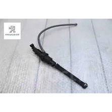 Verici Peugeot    Cıtroen 9800216580