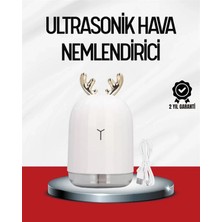 MiraLive El Tipi USB Mini Soğuk Mist Nemlendirici 220 ML Tank