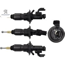 Verici Peugeot 9829937180