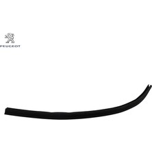 Sağ Iç Cam Fitili Peugeot 9310.G8