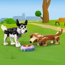 Paradise Sda CREATORSEVIMLIKÖPEKLER31137 4523