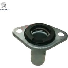 Prizdirek Burcu Boxer Peugeot