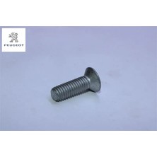 Kilit Karşilik Vidasi Peugeot 8503.LW