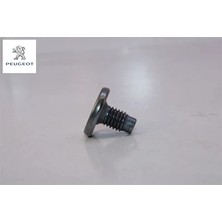 Kilit Bağlanti Vidasi Peugeot 6925.T3