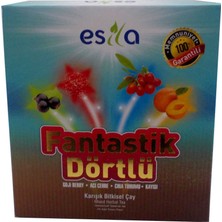 Uravas Store Fantastik Dörtlü Sel Yaz Çayı 45 Süzen Poşet