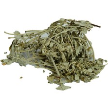 Uravas Store Iğde Yaprağı Doğal 100 gr Paket