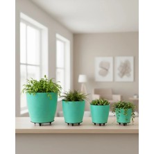 Uravas Store 4lü Vazo Yeşi̇l