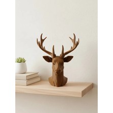 Uravas Store Bi̇blo Geyi̇k Kahverengi̇