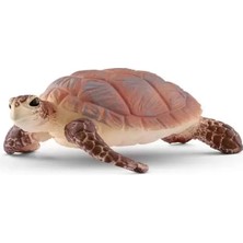 Paradise Sda Deniz Kaplumbağası 4523