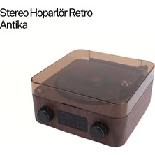 Terrien Gramafon Speaker Kahverengi