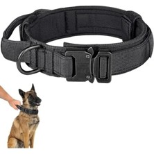 Esranın Dünyası Ayarlanabilir Naylon Köpek Tasması (Orta ve Büyük Boy)