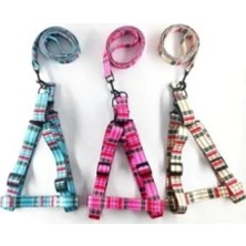 Esranın Dünyası Mavi Ayarlanabilir Göğüs Tasma Seti - Xl Boyut (2.5X120 Cm)