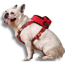 Esranın Dünyası 2’si 1 Arada Ayarlanabilir Göğüs Tasması ve Sırt Çantası