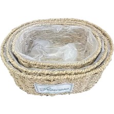 Uravas Store Oval Doğal Hasır Saksı Seti - 3'lü