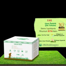 Delixa Ebitkisel Çok Yıllık Tohumu 5 Uzun Ömürlü 6'lı Karışım Gölge Aşırı Güneşli Alan Uygun Yetiştirilmesi