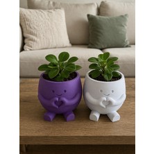 Alpin  Kalp Figürlü 2'li Set Dekoratif Saksı