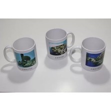 Zemira Yöresel Kupa Bardak 9ALY477