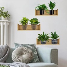 Uravas Store Raflı Bitki Tasarımlı Yapışkanlı Sticker 20*30 cm 3lü Set