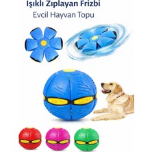 Vanckey Işıklı Köpek Topu Zıplayan Açılır Frizbi Oyuncak Köpek Oyuncağı