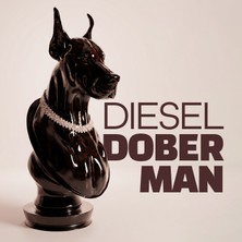 The Shogun Dıesel Doberman Dekoratif Doberman Büst