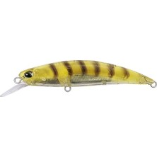 Duo Spearhead Ryuki 70S Sw CCC0312 Gold Shrimp Suni Yem