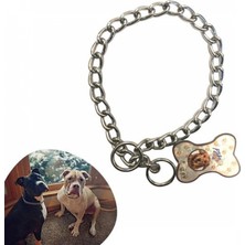 Marsilyan 65 cm Uzunlukta Zincir Model Köpek Için Boyun Tasması (4887)