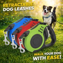  köpek tasması 5 mt . makaralı otomatik mavi renk