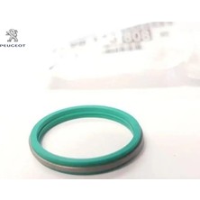 Peugeot Motor Enjektör Contasi -DV5R C4 x (C43) 10 Adet 9817380880/ JX6Q6K780AB