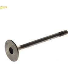 Supap Tk. Albea/palio/doblo 1.3 16V Jtd Güneş  55195680/ 55208213   1410-1411