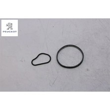 Vakum Pompa Conta Tk.  307 DV6TD Peugeot 4599.41